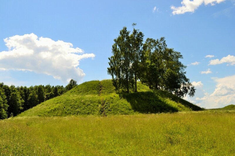 Шумели горы. Шум гора Лужский район. Луга и шум-гора. Шум гора лето. Шум в горах фото.